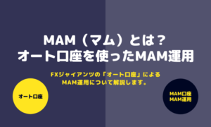 【解説】MAM(マム)とは?FXジャイアンツの「オート口座」を使ったMAM運用について